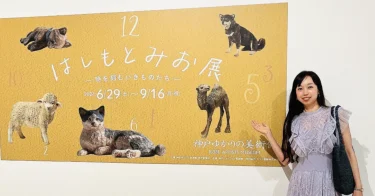 【神戸ゆかりの美術館】はしもとみお展「時を刻むいきものたち」へ行ってきました！