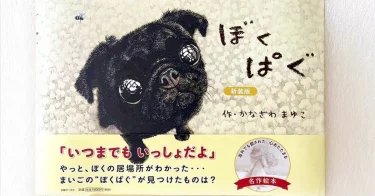 【NHKで放送】絵本『ぼくぱぐ』がラジオ朗読されます！『こどもぽかぽか ほっこりストーリー』